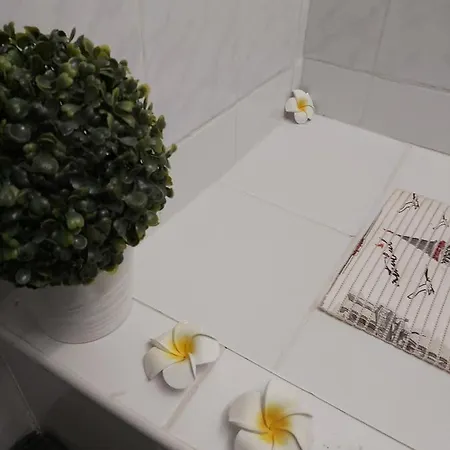 Garden, Autoparking, Bbq, Terrace Apartamento Siófok