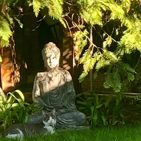 Garden Budha Relax Apartman, Parking, Bbq, Terrace Apartment Siofok