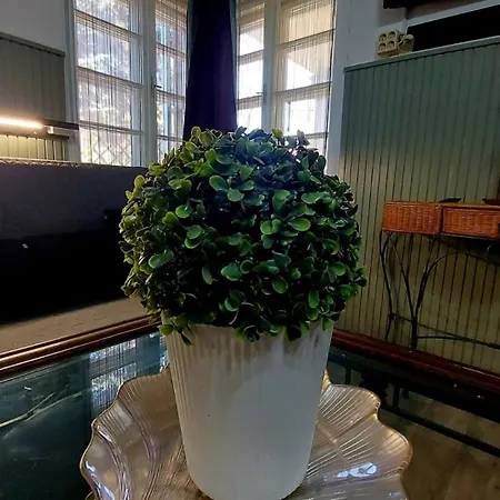 Garden, Autoparking, Bbq, Terrace Siófok